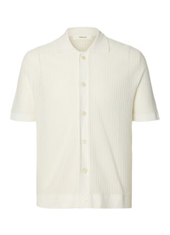 Polo Selected