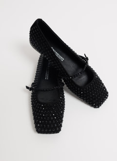 Ballerines Kennel & Schmenger
