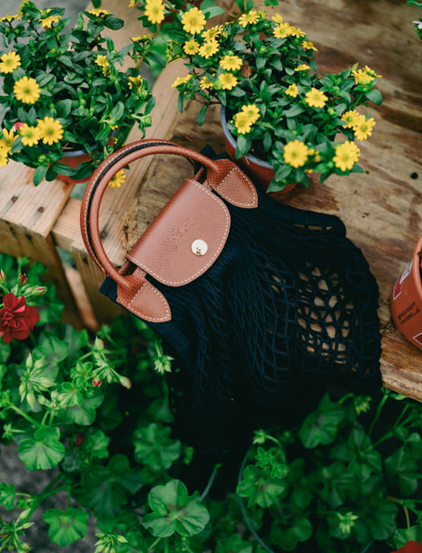 Sac Longchamp