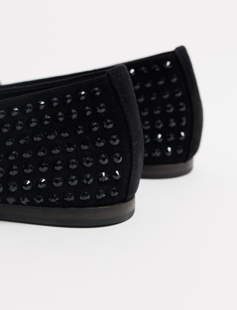 Ballerines Kennel & Schmenger