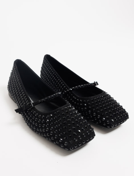 Ballerines Kennel & Schmenger