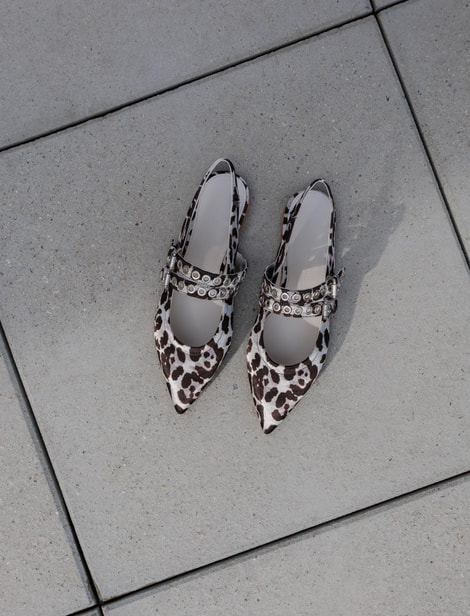 Ballerines Kennel & Schmenger