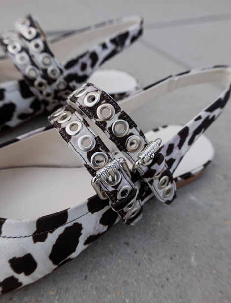 Ballerines Kennel & Schmenger