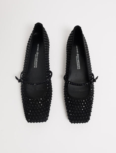 Ballerines Kennel & Schmenger