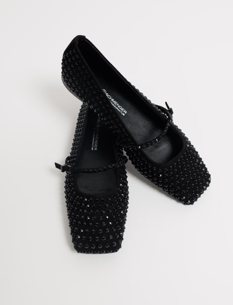 Ballerines Kennel & Schmenger
